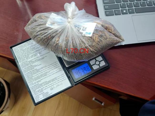 老中医离世后儿子上交460g罂粟壳 主动消除隐患