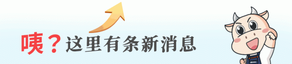 EPD到底是啥？看完秒懂！