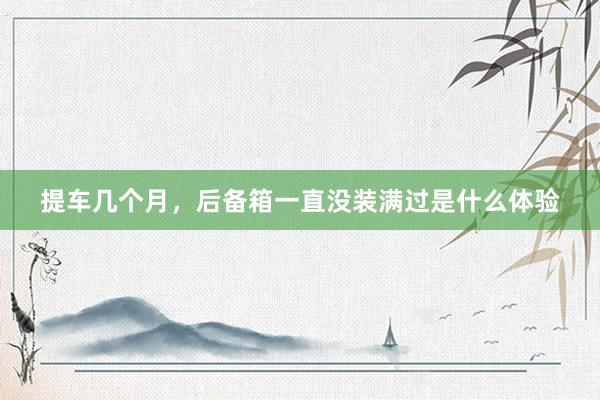 提车几个月，后备箱一直没装满过是什么体验
