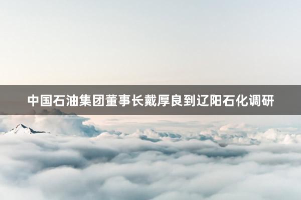 中国石油集团董事长戴厚良到辽阳石化调研