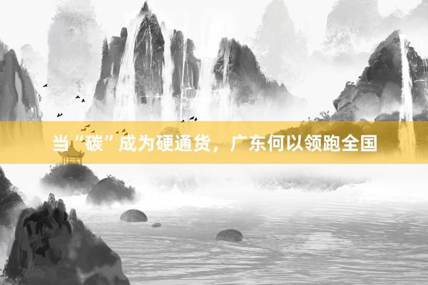 当“碳”成为硬通货，广东何以领跑全国