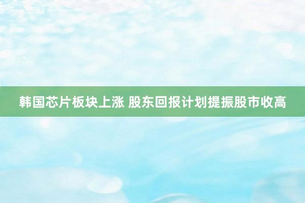 韩国芯片板块上涨 股东回报计划提振股市收高