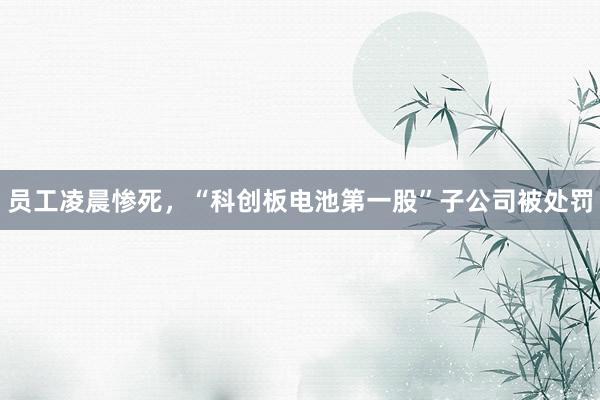 员工凌晨惨死，“科创板电池第一股”子公司被处罚