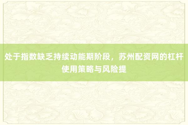 处于指数缺乏持续动能期阶段，苏州配资网的杠杆使用策略与风险提