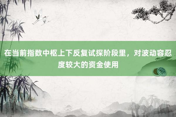 在当前指数中枢上下反复试探阶段里，对波动容忍度较大的资金使用