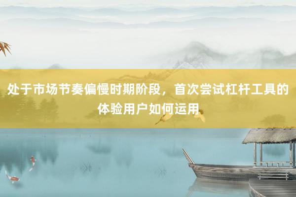 处于市场节奏偏慢时期阶段，首次尝试杠杆工具的体验用户如何运用