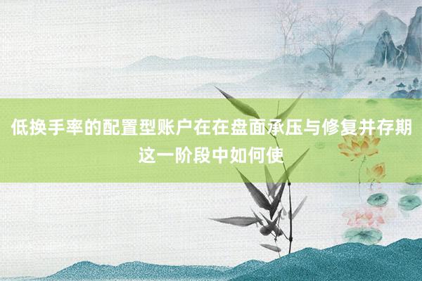 低换手率的配置型账户在在盘面承压与修复并存期这一阶段中如何使