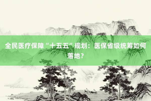 全民医疗保障“十五五”规划：医保省级统筹如何落地？