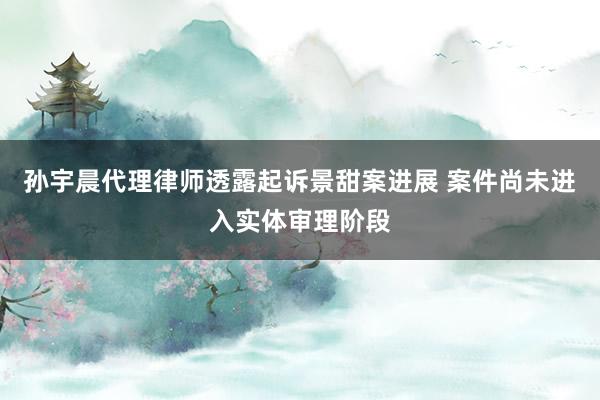 孙宇晨代理律师透露起诉景甜案进展 案件尚未进入实体审理阶段