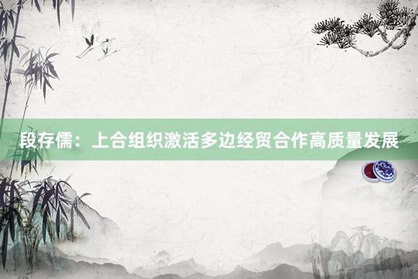 段存儒：上合组织激活多边经贸合作高质量发展