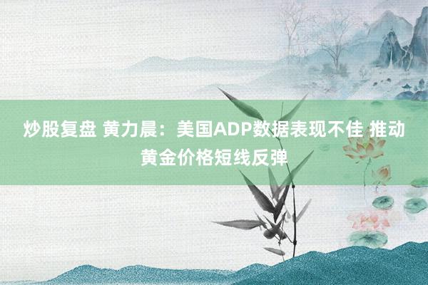 炒股复盘 黄力晨：美国ADP数据表现不佳 推动黄金价格短线反弹