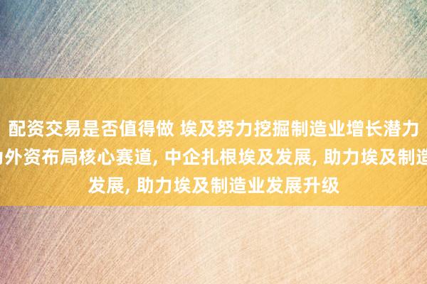 配资交易是否值得做 埃及努力挖掘制造业增长潜力, 制造业成为外资布局核心赛道, 中企扎根埃及发展, 助力埃及制造业发展升级