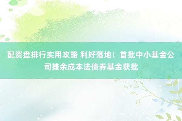 配资盘排行实用攻略 利好落地！首批中小基金公司摊余成本法债券基金获批