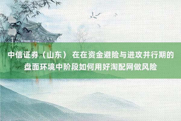 中信证券（山东） 在在资金避险与进攻并行期的盘面环境中阶段如何用好淘配网做风险