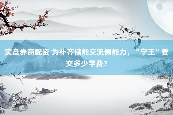 实盘券商配资 为补齐储能交流侧能力,“宁王”要交多少学费?