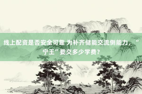 线上配资是否安全可靠 为补齐储能交流侧能力，“宁王”要交多少学费？