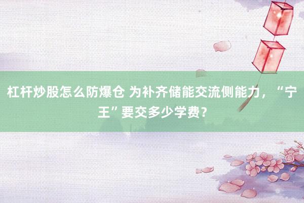 杠杆炒股怎么防爆仓 为补齐储能交流侧能力，“宁王”要交多少学费？