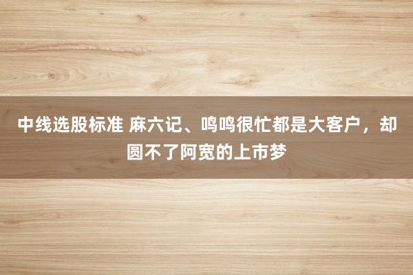 中线选股标准 麻六记、鸣鸣很忙都是大客户，却圆不了阿宽的上市梦