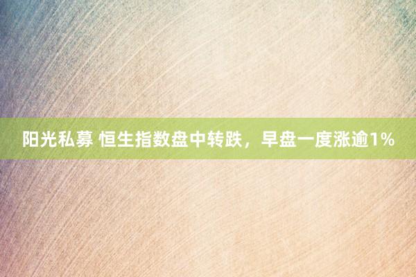 阳光私募 恒生指数盘中转跌，早盘一度涨逾1%