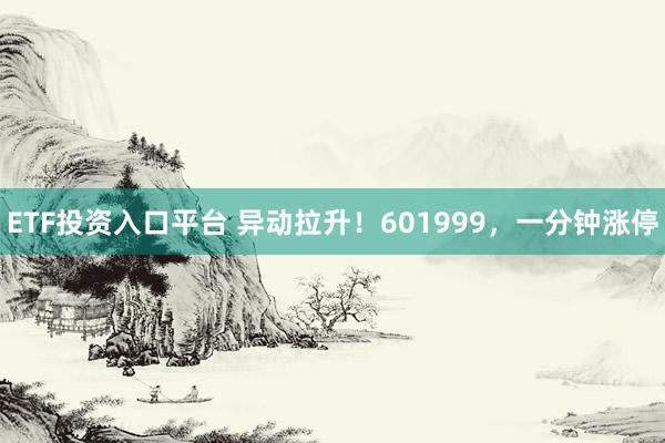 ETF投资入口平台 异动拉升!601999,一分钟涨停